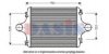 BH SERVICE 2204098 Intercooler, charger